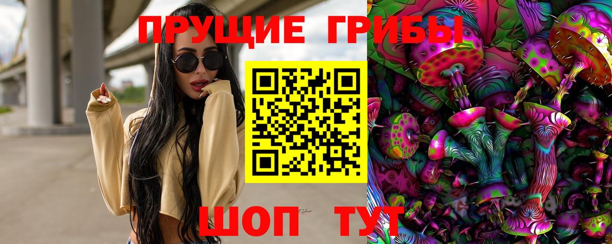 Новый Уренгой  даркнет сайт  Вход с VPN  Псилоцибиновые грибы Psilocybe 